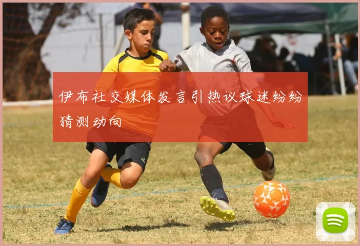 伊布社交媒体发言引热议球迷纷纷猜测动向