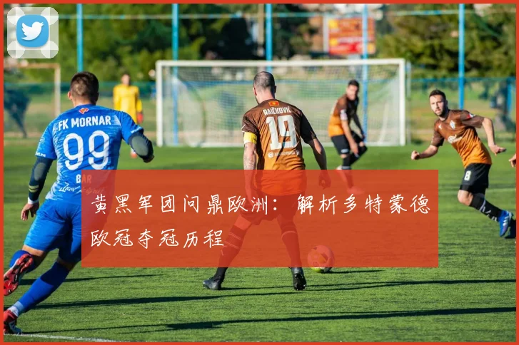 黄黑军团问鼎欧洲：解析多特蒙德欧冠夺冠历程